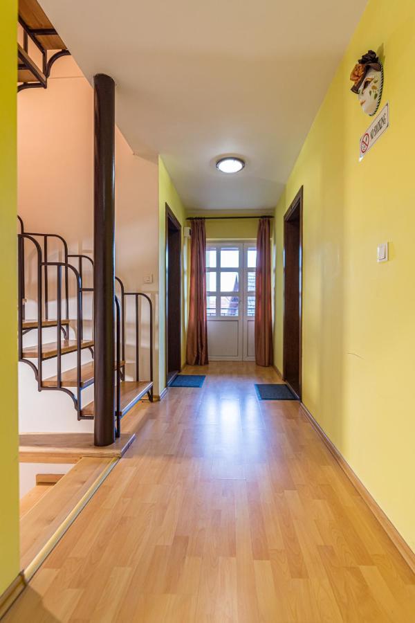 Casa David Villa Săcele Екстериор снимка